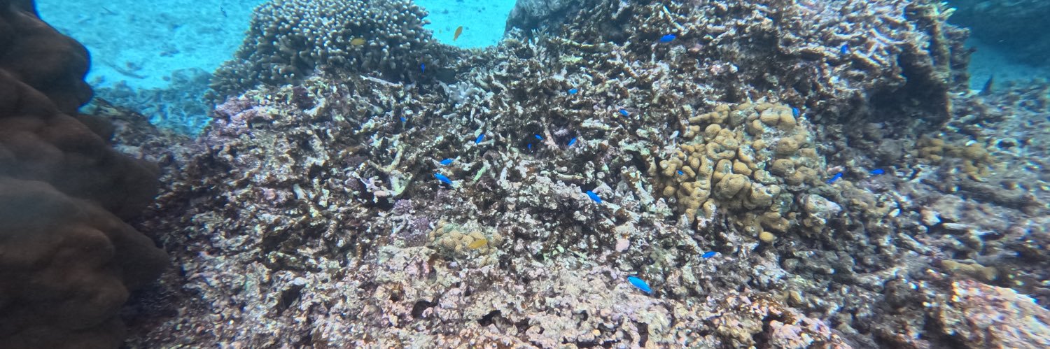 びすこ🏝️離島ラバー banner