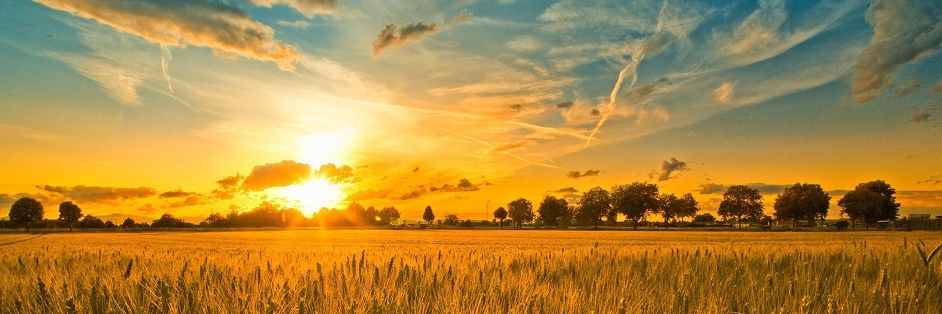 katieandy11's profile banner image