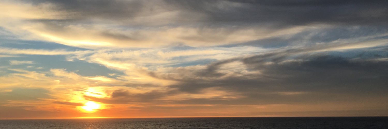 MichelleSlater's profile banner image