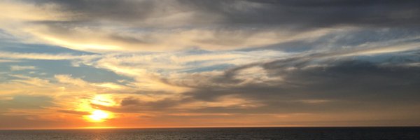 MichelleSlater Profile Banner