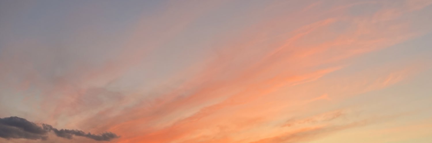 MollyRatez's profile banner image