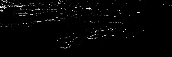 fishy business banner