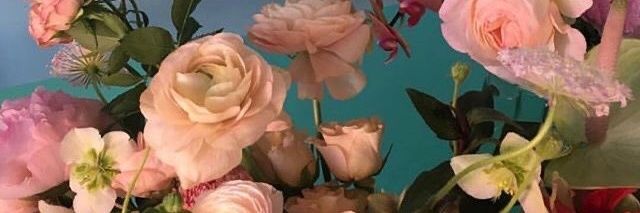 elaf_mostafa's profile banner image