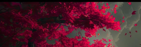 trentmaster546 Profile Banner