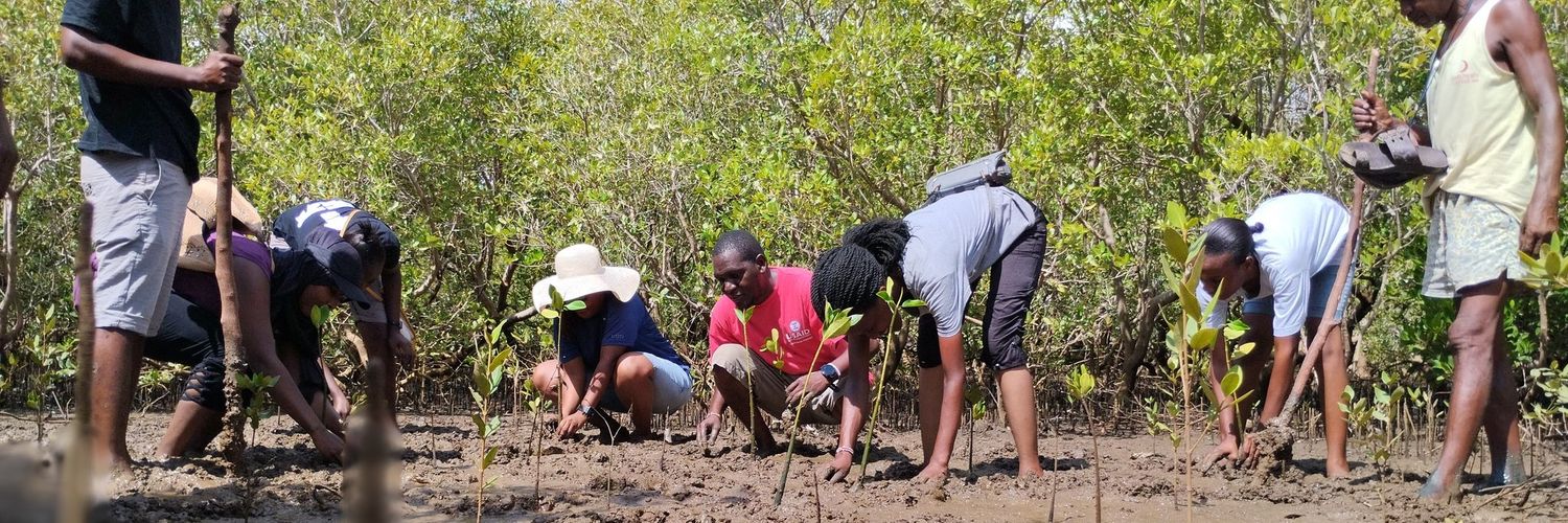 Shella Environmental Youth Group banner