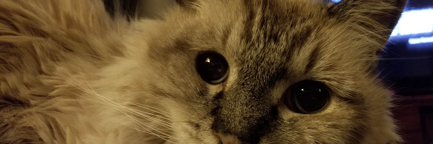 sturmcrow's profile banner image