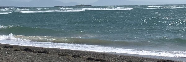 MSnTweedles Profile Banner