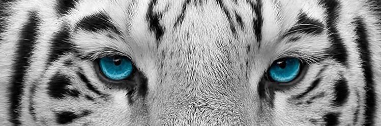 davidfgp31's profile banner image
