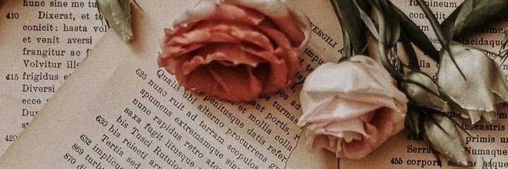 lil_miss_loo96's profile banner image