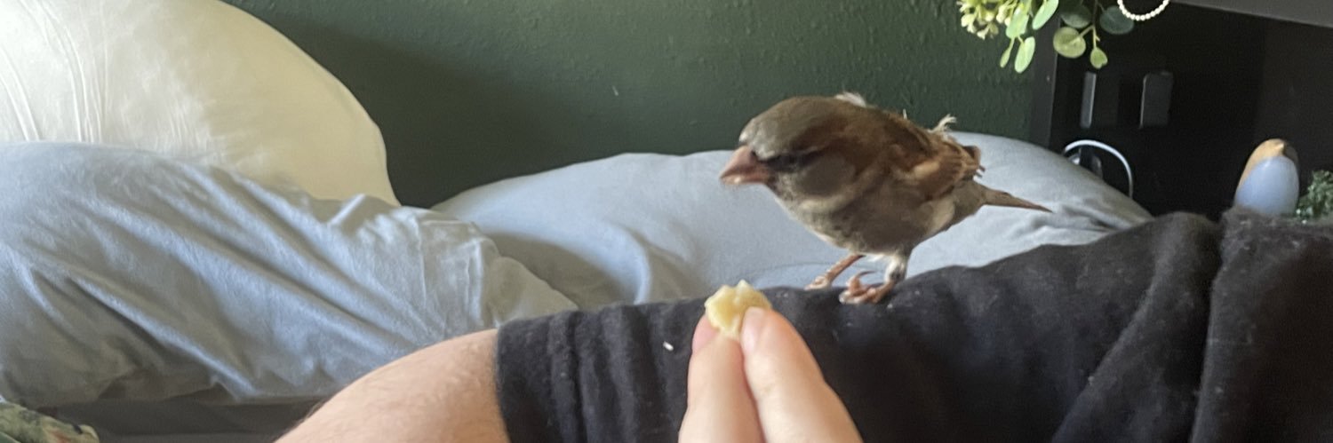 Just A Simple Artificer banner