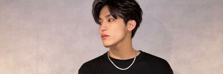 Hiwoosil's profile banner image