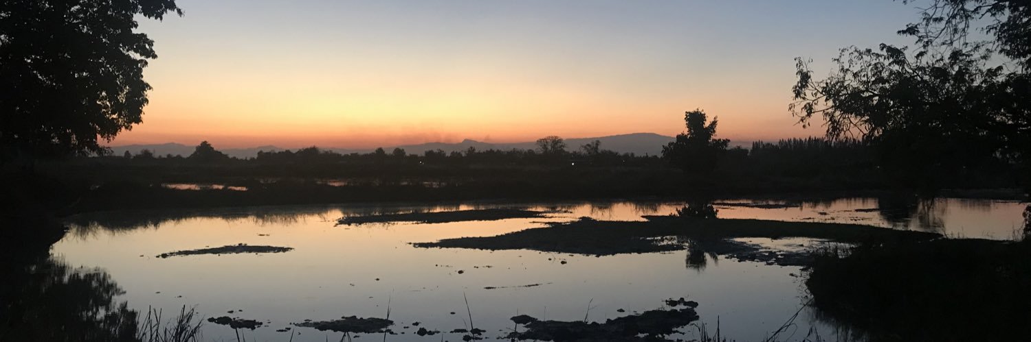 นายธีร์ banner