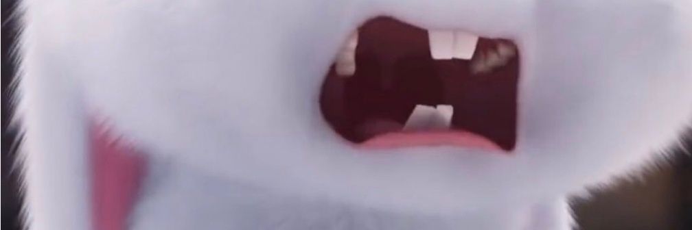 ปิ๊บป๋อ banner