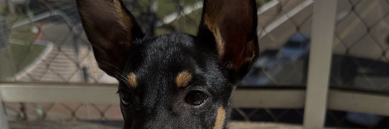 FelippeNO's profile banner image