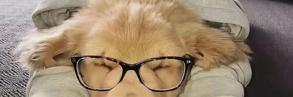 4iiii6910's profile banner image