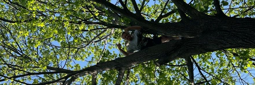 aleruzack's profile banner image