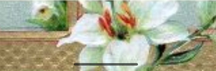 samboratqm's profile banner image