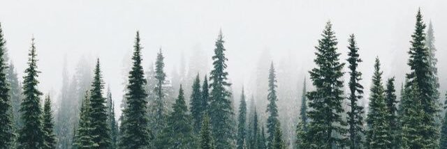 _saraelf's profile banner image
