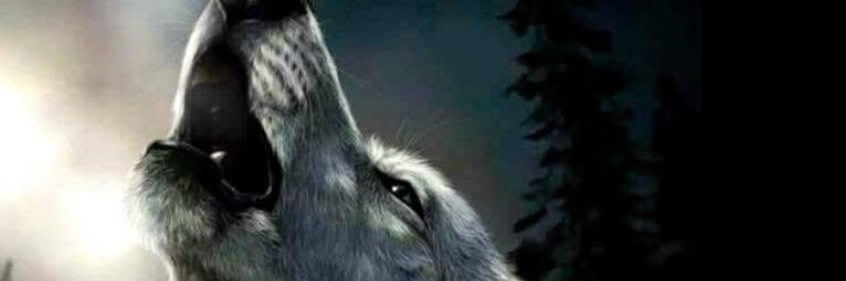 ChariHor's profile banner image