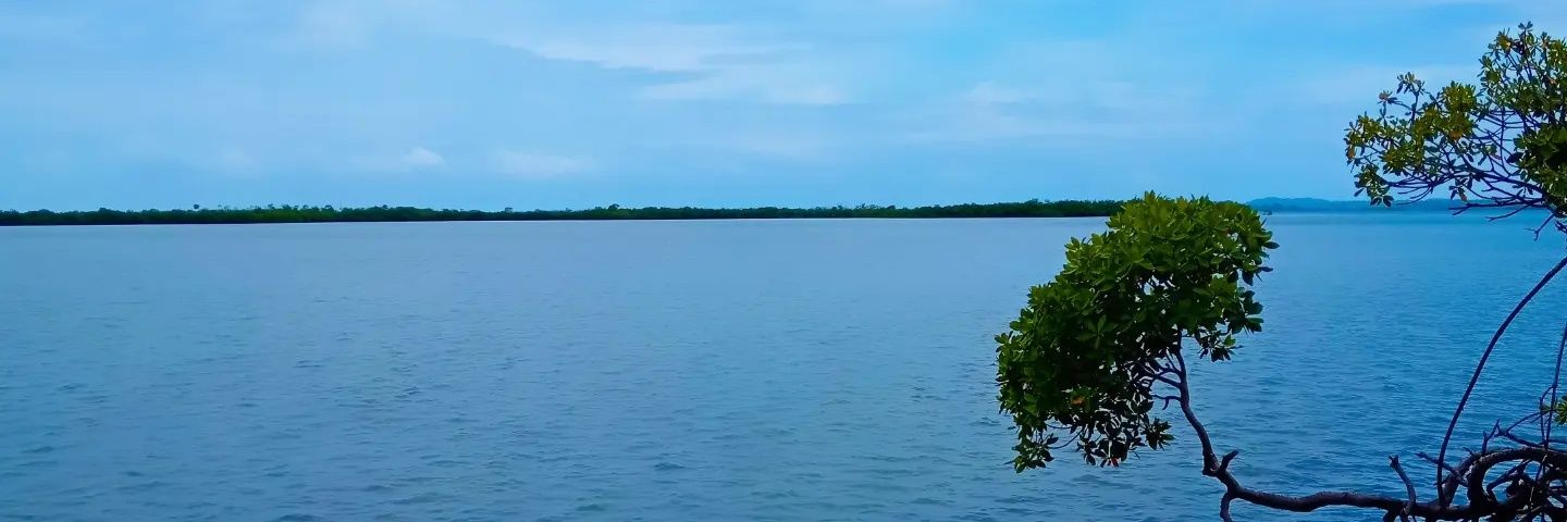josebakerl's profile banner image