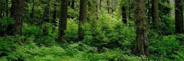 mags_biel Profile Banner