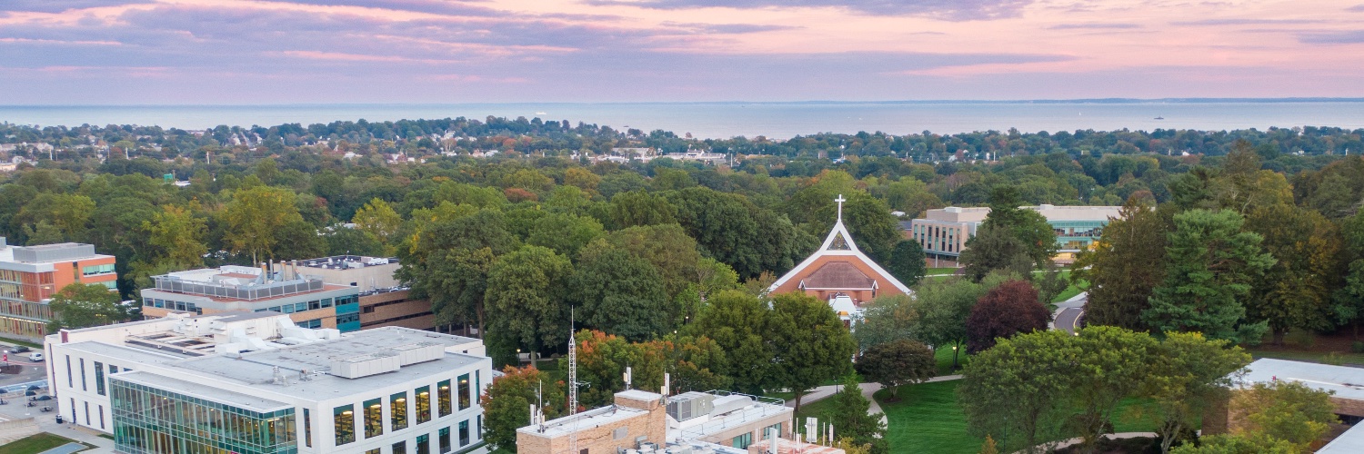 Fairfield University 🦌 banner