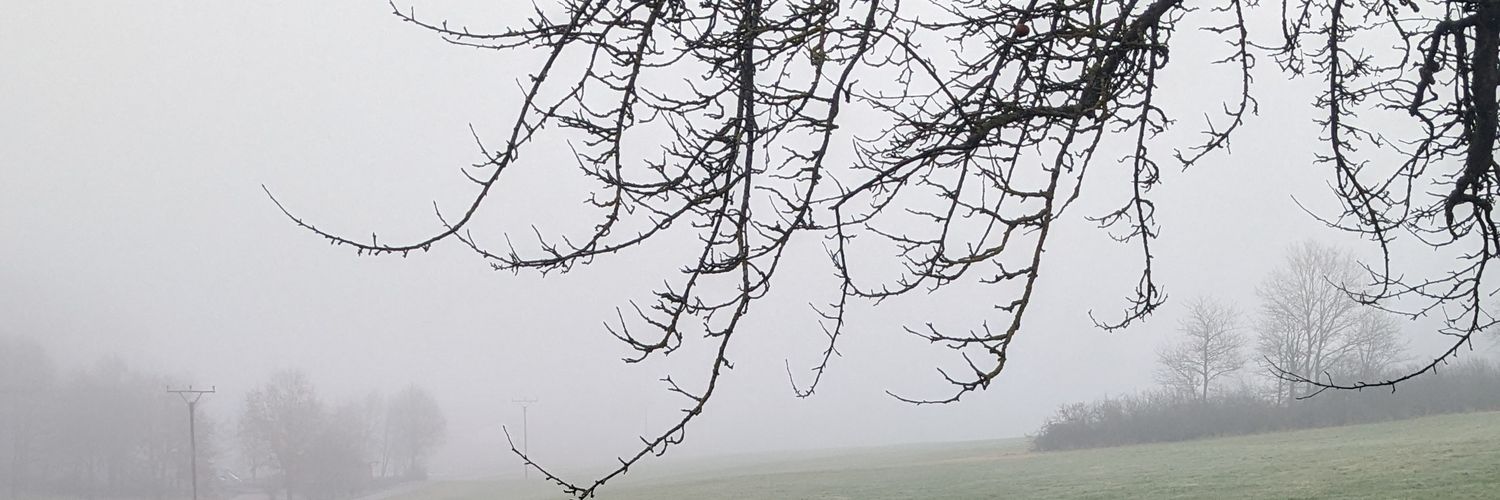 Mutterbase of Pavuck banner