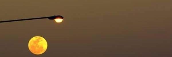 mabdi_'s profile banner image