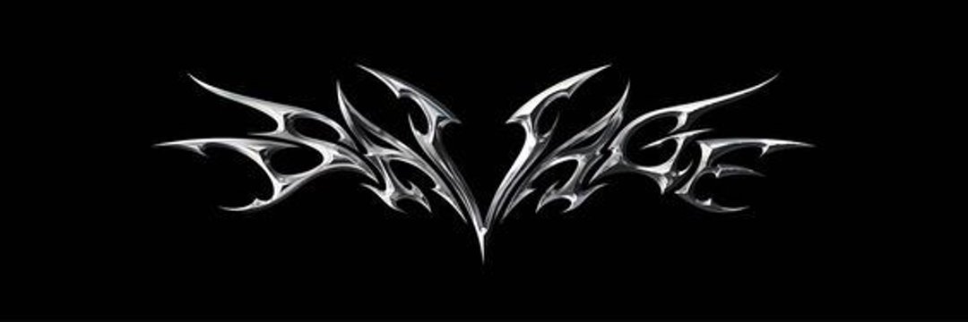 BLINK🖤SAVAGE banner