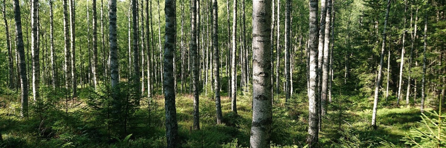 Future Forests banner