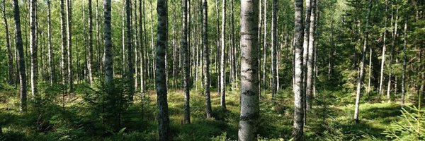 _FutureForests Profile Banner