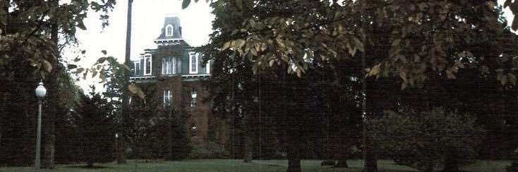 𝑨𝑚𝑦𝑐𝑢𝑠. 𝙲𝖺𝗋𝗋𝗈𝗐 banner