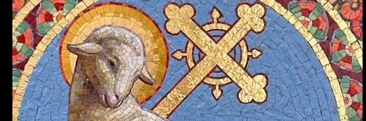 QuinaMandra🌟 banner