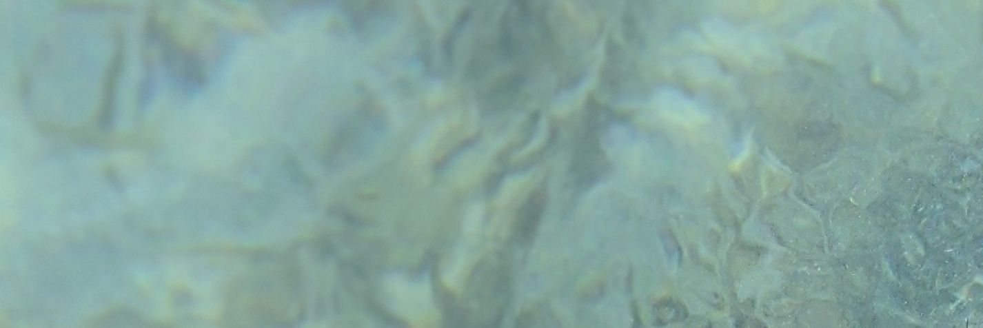RobinJrFerreras's profile banner image