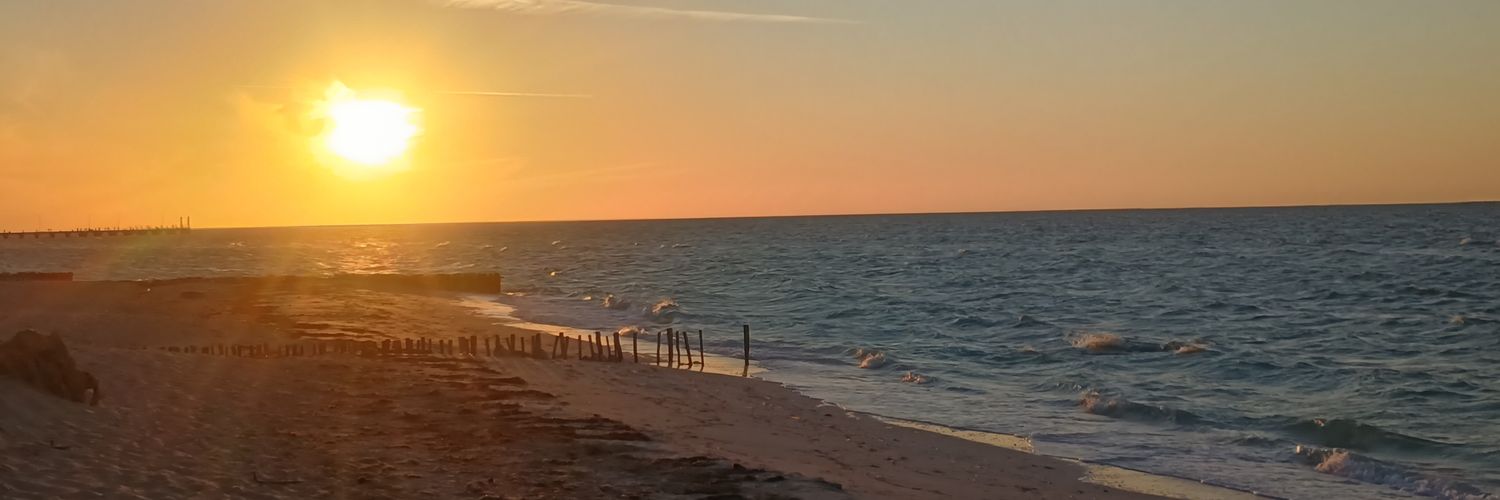 BahlamSun (commissions Open!) banner