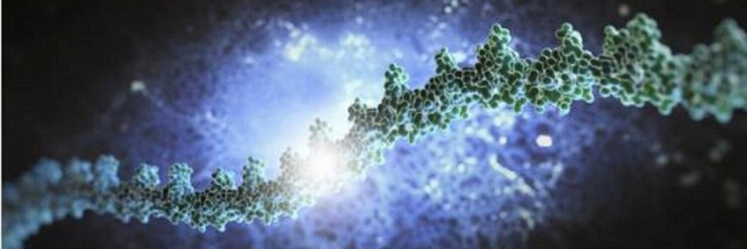 celikhakan13's profile banner image