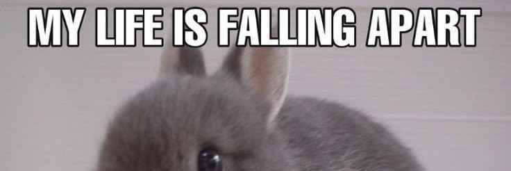 Decaying Banny 🔞|🕊️⚰️ BTD BRAINROT banner