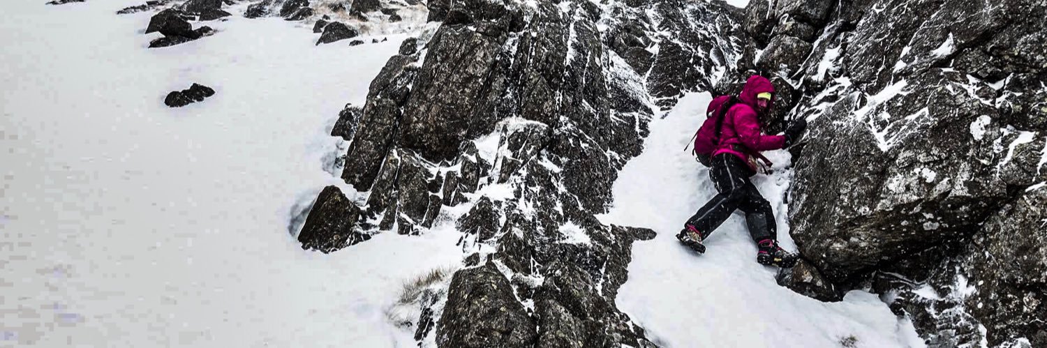 Stuart Macleod banner