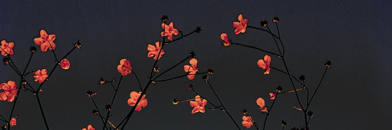 JJamilaaaaa's profile banner image