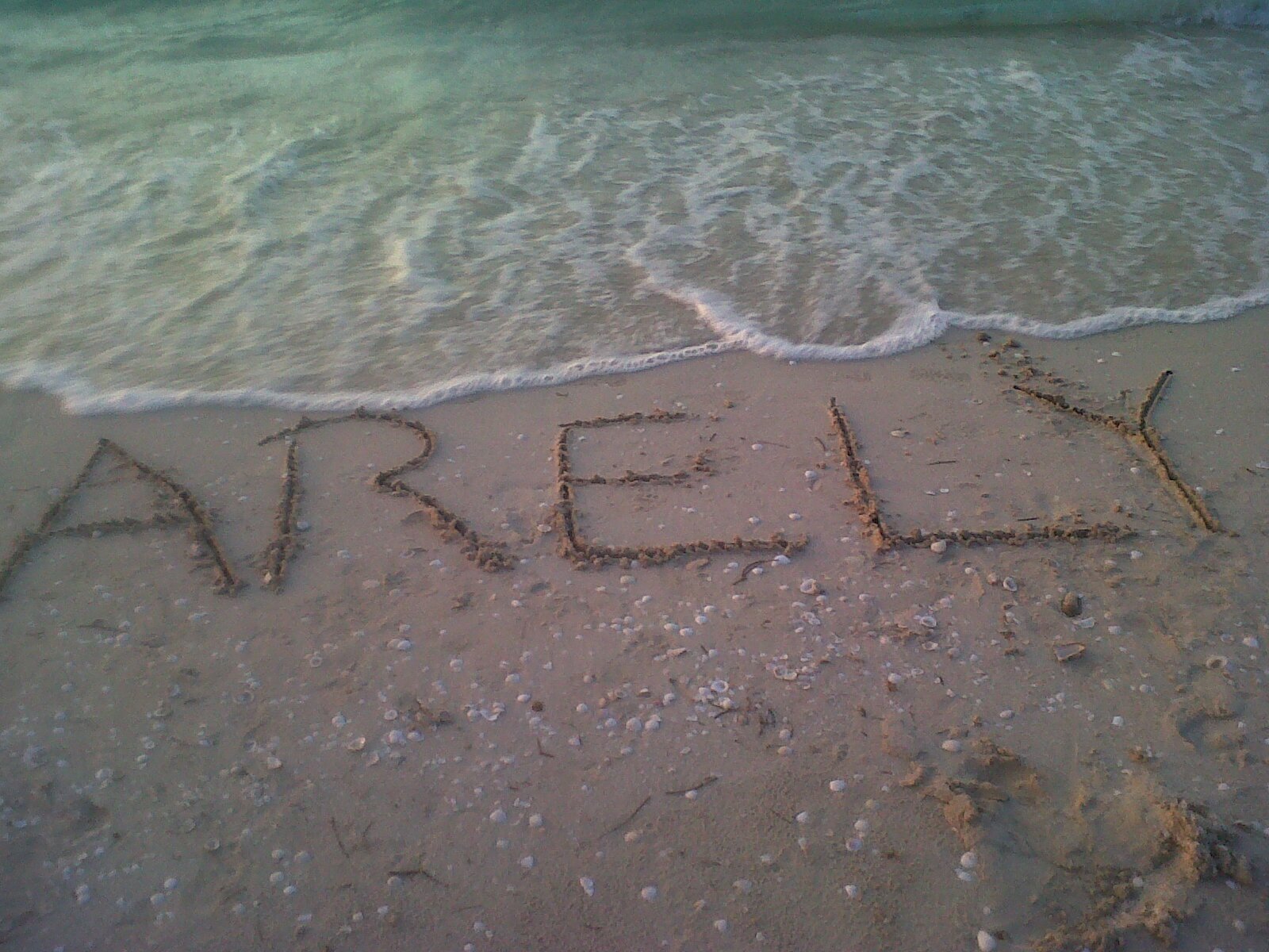 AreBar's profile banner image