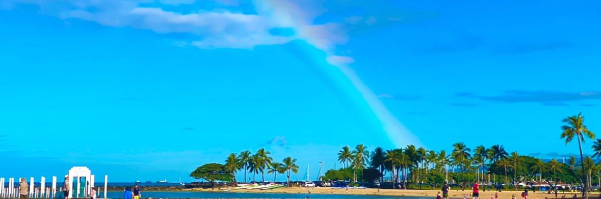 菜津 banner