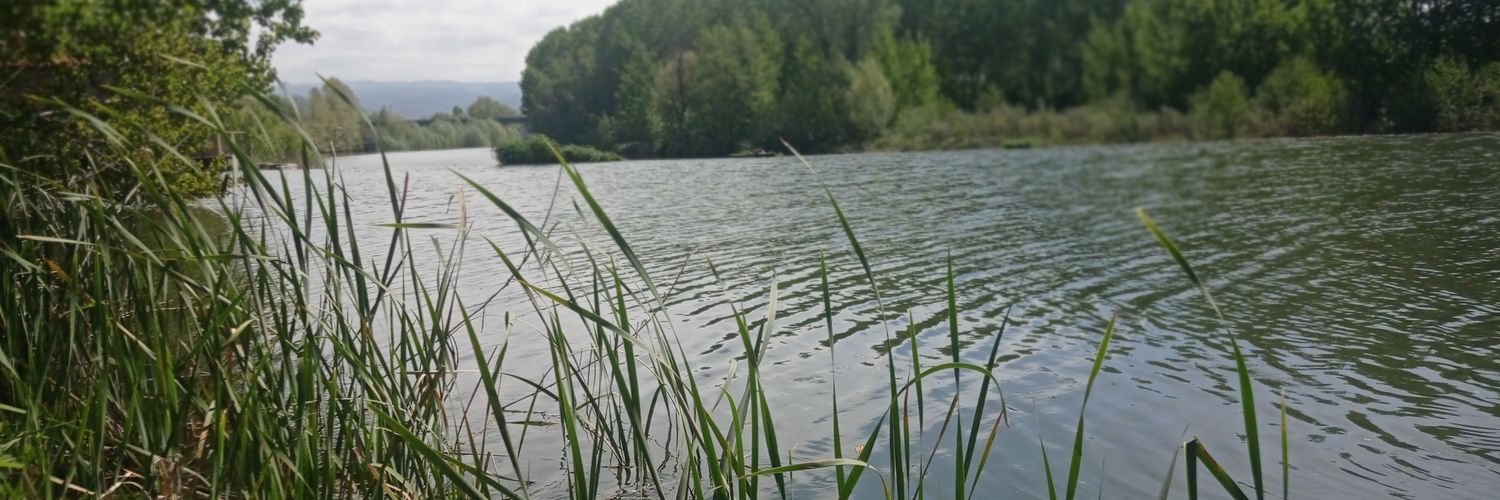 ANOGUER77's profile banner image