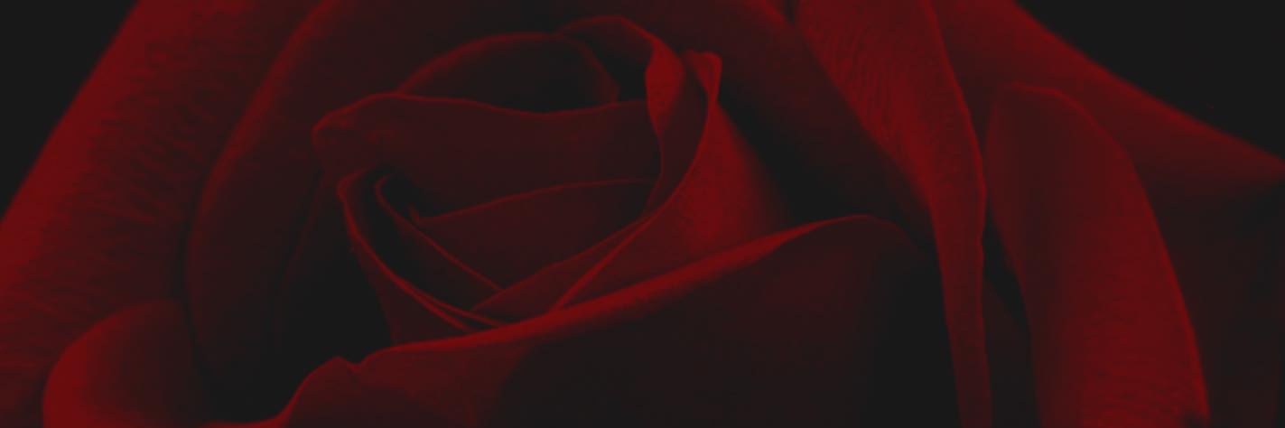 Benjamin🌹 banner