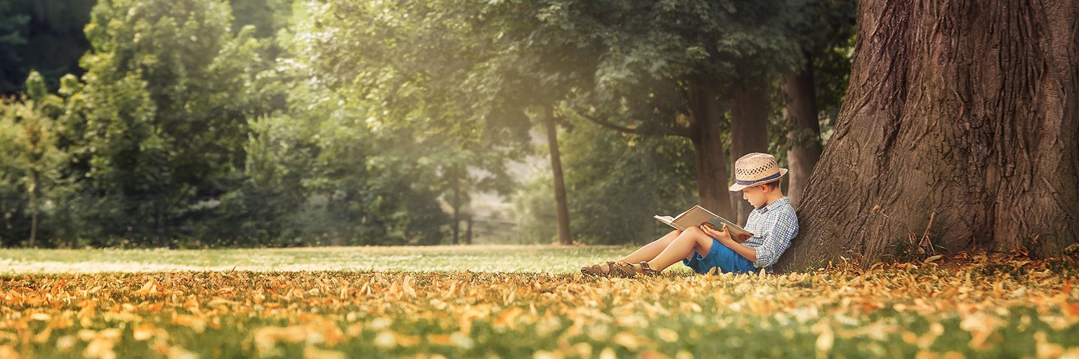 Stephane Leduc banner