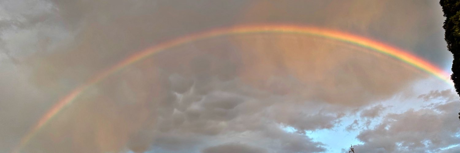 ScoutRobert's profile banner image