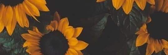 lydiamadorm96's profile banner image