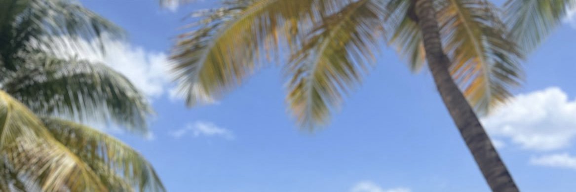 OmarJohnson__'s profile banner image