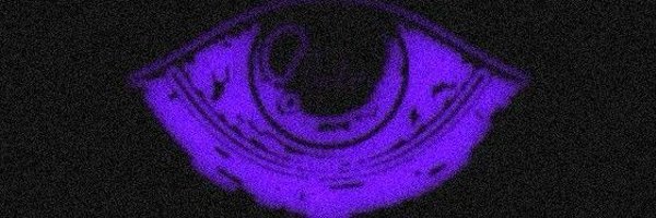 Coldstray Profile Banner