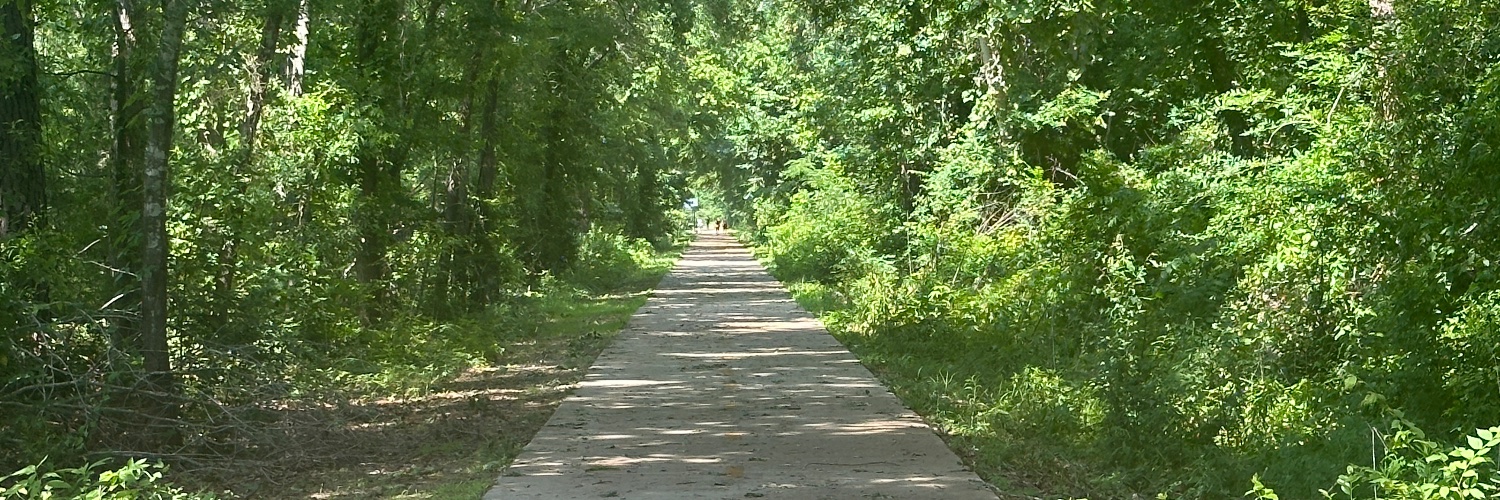 RunBostonBear banner