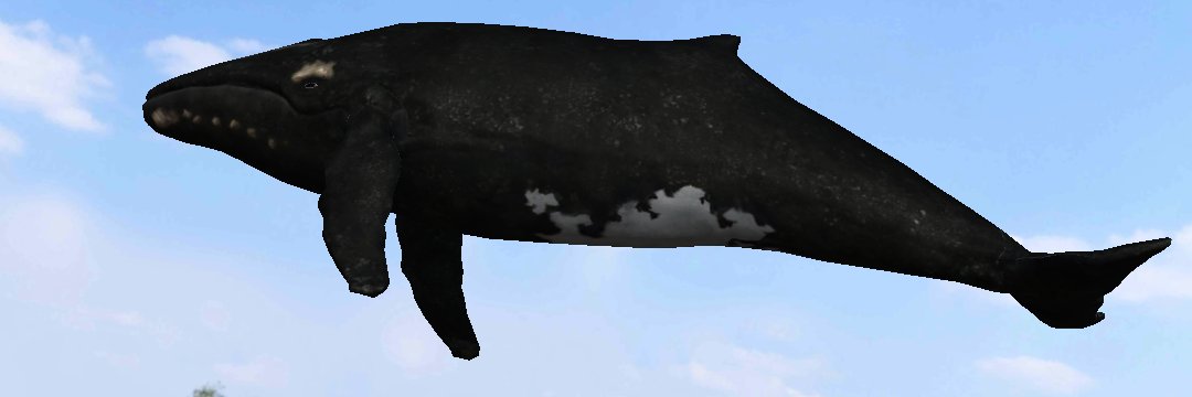 m921nazo's profile banner image